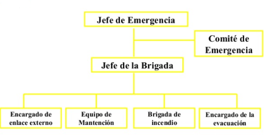 Organigrama De Brigadas Organigrama De Brigadas Para 